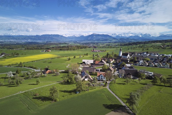View of town with field of blooming rapeseed, Rigi and the snowy Alps in the back, Beinwil, Freiamt, Canton, Aargau, Switzerland