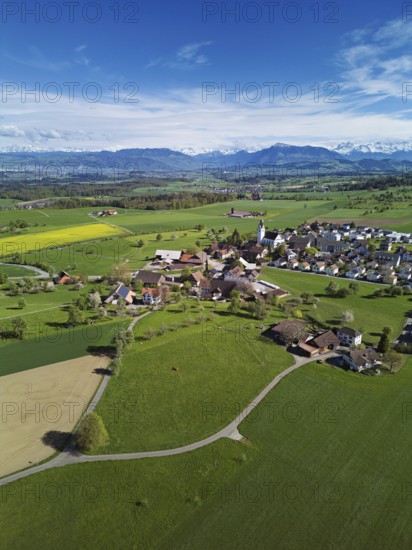 View of town with field of blooming rapeseed, Rigi and the snowy Alps in the back, Beinwil, Freiamt, Canton, Aargau, Switzerland