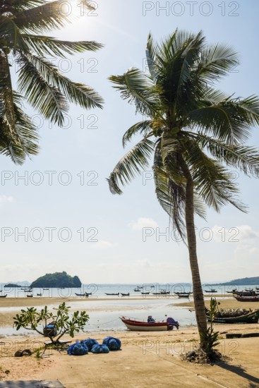 Beach with coconut trees and fishing boats, Thun Thong, Chumphon, Chumphon Province, Central Thailand, Thailand