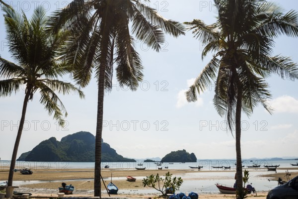 Beach with coconut trees and fishing boats, Thun Thong, Chumphon, Chumphon Province, Central Thailand, Thailand