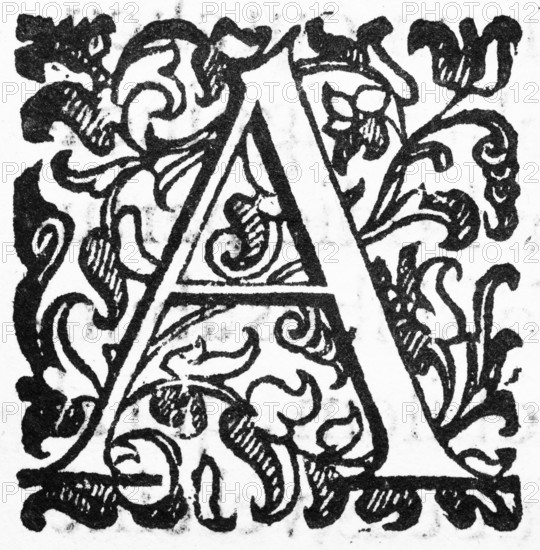 Initial, initial letter A, from: Ulysses Aldrovandi (1522-1603), Ornithologiae hoc est de avibus Historiae Libri XII, Bologna, 1599