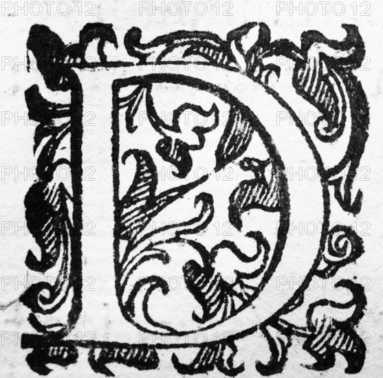 Initial, initial letter D, from: Ulysses Aldrovandi (1522-1603), Ornithologiae hoc est de avibus Historiae Libri XII, Bologna, 1599
