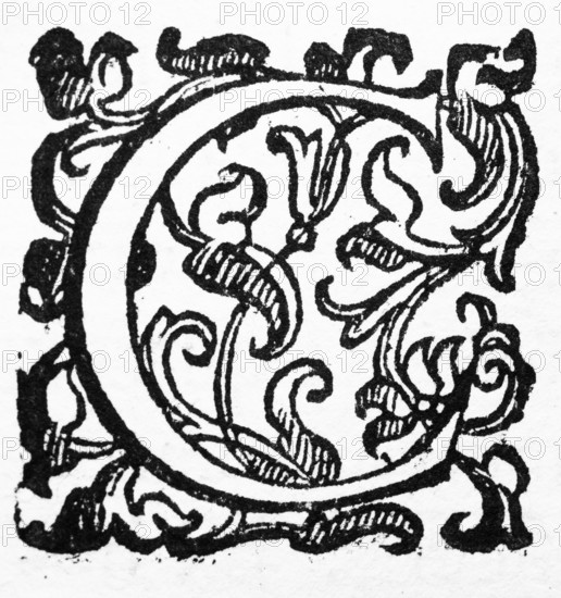 Initial letter C, from: Ulysses Aldrovandi (1522-1603), Ornithologiae hoc est de avibus Historiae Libri XII, Bologna, 1599