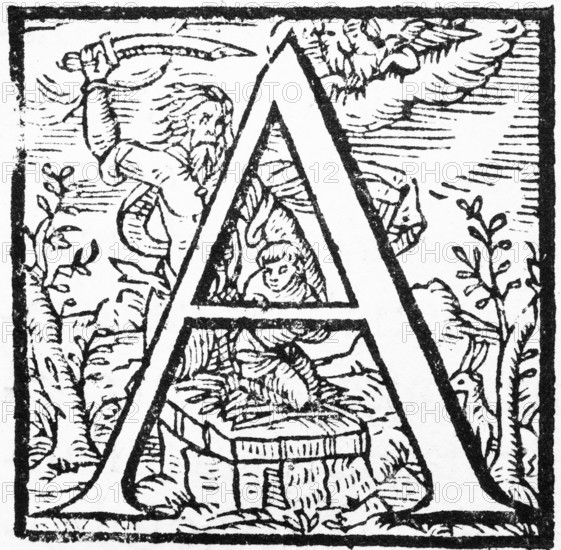 Initial, initial letter A, from: Ulysses Aldrovandi (1522-1603), Ornithologiae hoc est de avibus Historiae Libri XII, Bologna, 1599