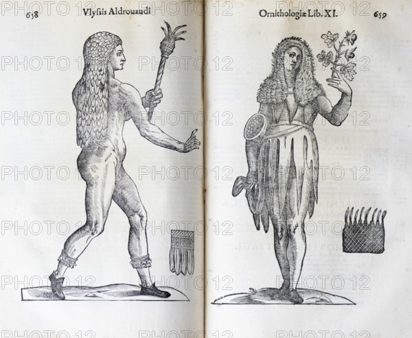 Woodcut, Regina insulae floridae, Queen of the Islands of Flowers, woman with flower in her hand and basket under her arm, from: Ulysses Aldrovandi (1522-1603), Ornithologiae hoc est de avibus Historiae Libri XII, Bologna, 1599