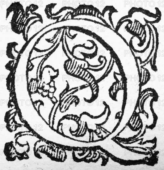 Initial, initial letter Q, from: Ulysses Aldrovandi (1522-1603), Ornithologiae hoc est de avibus Historiae Libri XII, Bologna, 1599
