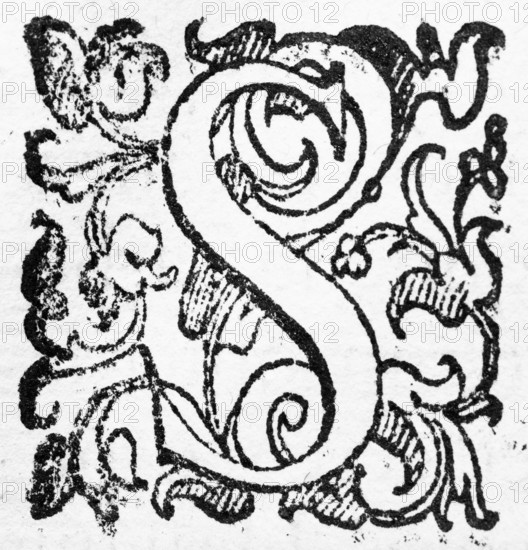 Initial, initial letter S, from: Ulysses Aldrovandi (1522-1603), Ornithologiae hoc est de avibus Historiae Libri XII, Bologna, 1599