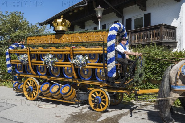 Carriage with brewery barrels, HofbrÃ¤u Munich, horse team, parade at Tegernsee, Rosstag, Rottach-Egern, Upper Bavaria, Bavaria, Germany