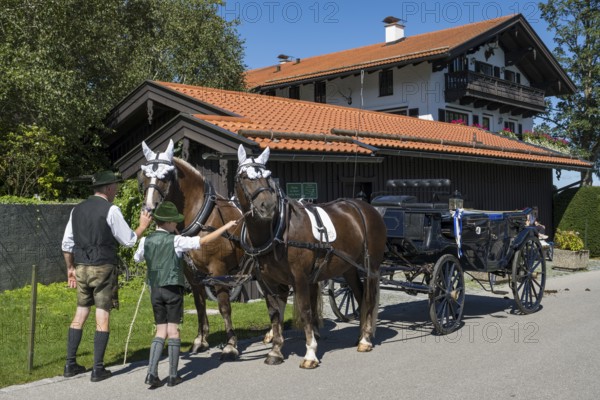 Decorated horses with carriage, team, parade at Tegernsee, Rosstag, Rottach-Egern, Upper Bavaria, Bavaria, Germany