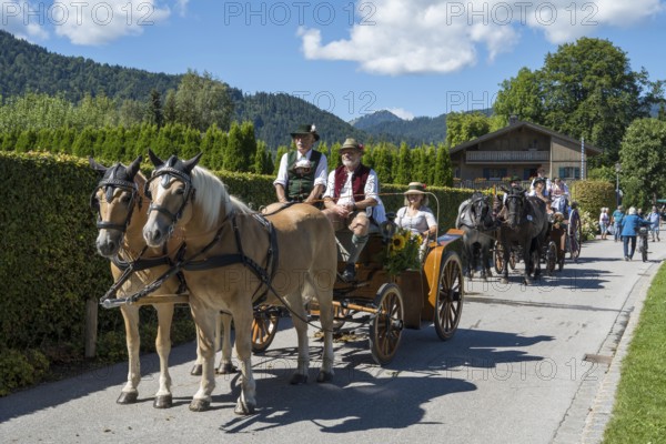 Decorated horses with carriage, horse team, parade at Tegernsee, Rosstag, Rottach-Egern, Upper Bavaria, Bavaria, Germany