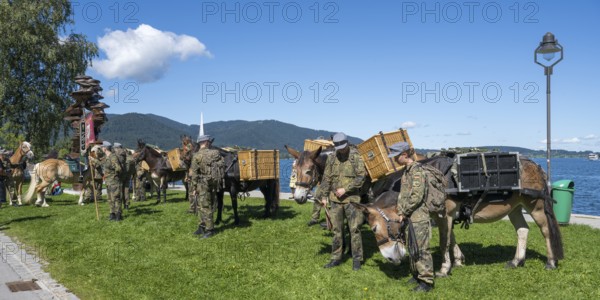 Bundeswehr soldiers with horses, mountain carrier company, soldiers in camouflage uniform, set up for the parade at Tegernsee, Rosstag, Rottach-Egern, Upper Bavaria, Bavaria, Germany