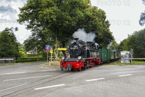 Speeding Roland, historic narrow-gauge railway, steam locomotive crossing a road, RÃ¼gen island, Germany