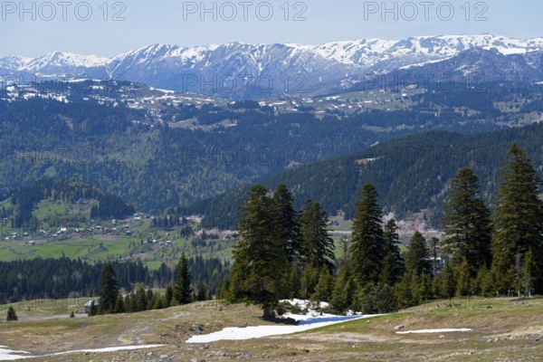 Panorama of snow-capped mountains and green forests under clear sky, view from Goderdzi Pass, Adjara region, Adjara, autonomous republic, Georgia