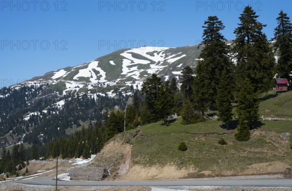 Snowy mountain with trees and a road under clear blue sky, just in front of the Goderdzi Pass, Ajara region, Adjara, autonomous republic, Georgia