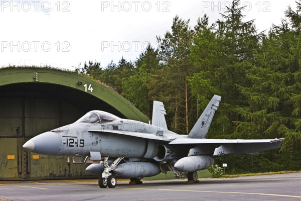 McDonnell Douglas FA-18D Hornet, aircraft, aircraft type, multi-role fighter aircraft, Spotterday, Wittmund, Lower Saxony, Germany