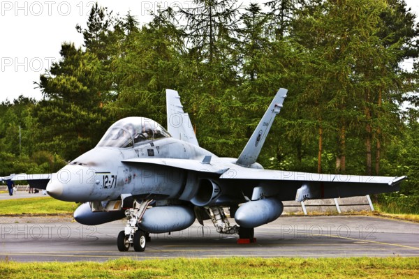 McDonnell Douglas FA-18D Hornet, aircraft type, multi-purpose fighter aircraft, air defense, reconnaissance, twin-engine, all-weather, fighter-bomber, fighter aircraft, supersonic, military, aircraft, Spotterday, Wittmund, Lower Saxony, Germany