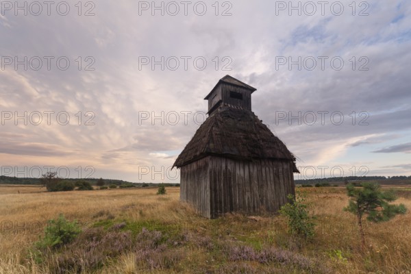 Rest in the Behringer Heide with an old wooden hut, Bispingen