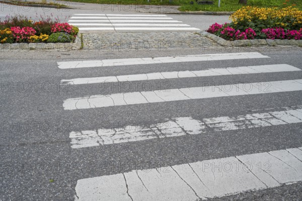 Street with zebra crossing and flower bed, Lenggries, Isarwinkel, Upper Bavaria, Bavaria, Germany