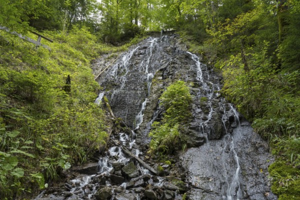 Rottach Wasserfall, Felsen, Rottach-Egern, Mangfall Mountains, Upper Bavaria, Bavaria, Germany