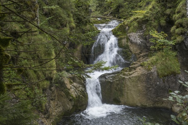 Rottach Wasserfall, Rottach-Egern, Mangfall Mountains, Upper Bavaria, Bavaria, Germany