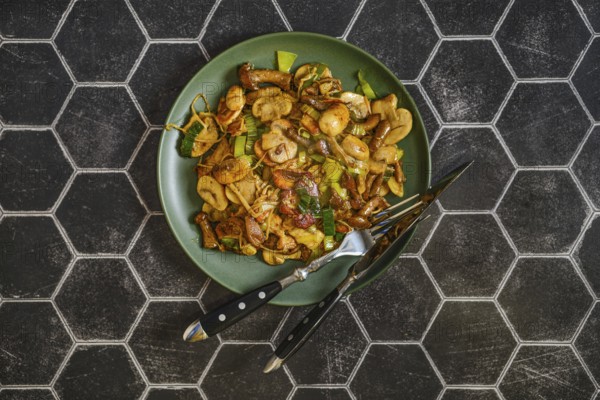 Mushroom stir fry is arranged on a green plate, featuring a mix of fried mushrooms and leek. The dish is set on a stylish black hexagonal table, illustrating a fresh and inviting meal