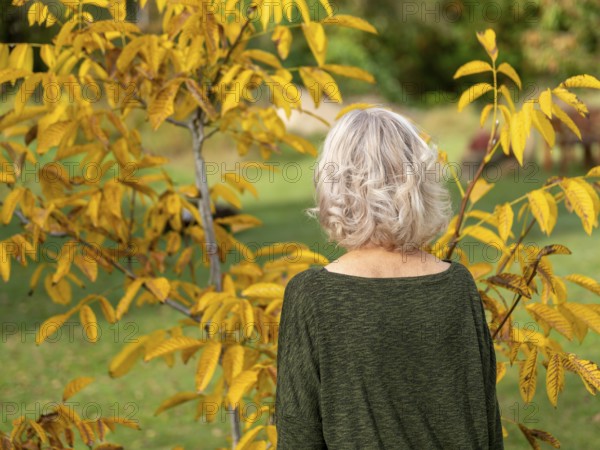 Baumfrieden, widow in mourning in front of her deceased man's tree
