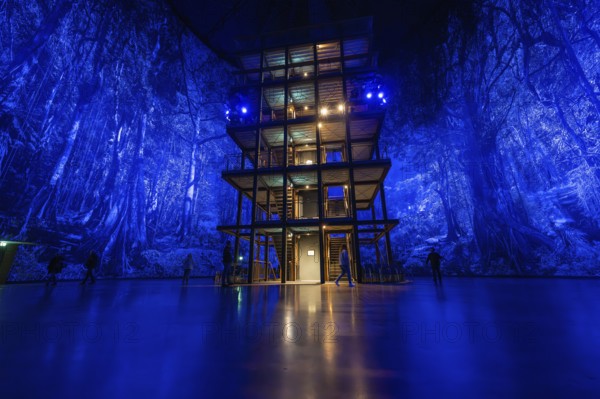 A large wooden structure in a blue-lit artificial forest backdrop, Amazonia exhibition, Gasometer, Pforzheim, Germany