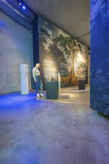 Woman looking at a large painting of a tree in a museum with blue lighting, Amazonia exhibition, Gasometer, Pforzheim, Germany