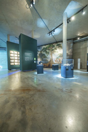 A museum with paintings and exhibits in an extensive exhibition, Amazonia exhibition, Gasometer, Pforzheim, Germany