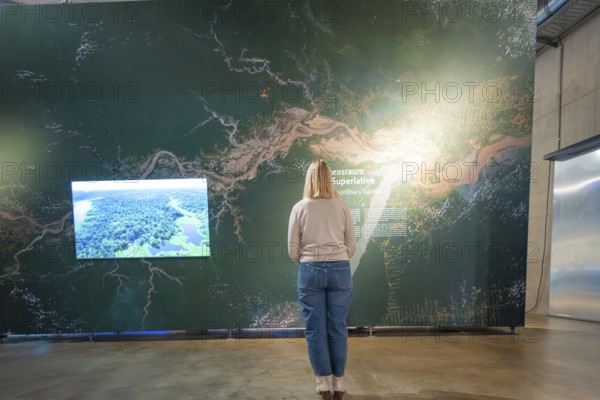 Woman looking at a large wall map in a museum exhibition with a focus on green colors, Amazonia exhibition, Gasometer, Pforzheim, Germany