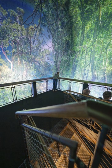 A person on a viewing platform in an artificial jungle with a green natural backdrop, Amazonia exhibition, Gasometer, Pforzheim, Germany