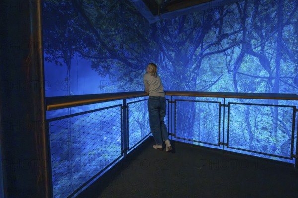 Woman enjoying the view of a magical blue-lit forest scene from the balcony, Amazonia exhibition, Gasometer, Pforzheim, Germany
