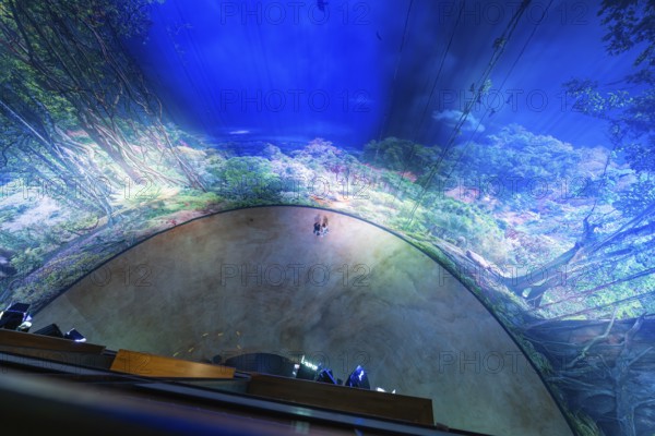Spectacular interior view of a circular forest projection, Amazonia exhibition, Gasometer, Pforzheim, Germany