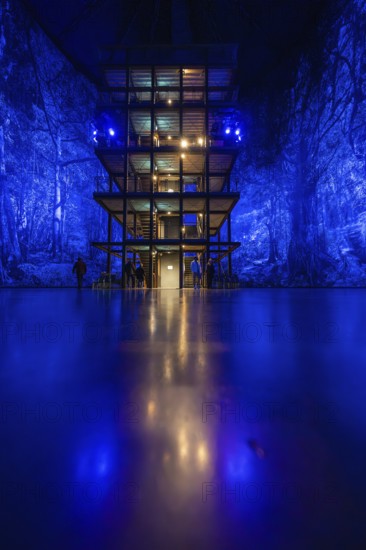 Illuminated structure in front of an intense blue forest projection in an interior, Amazonia exhibition, Gasometer, Pforzheim, Germany