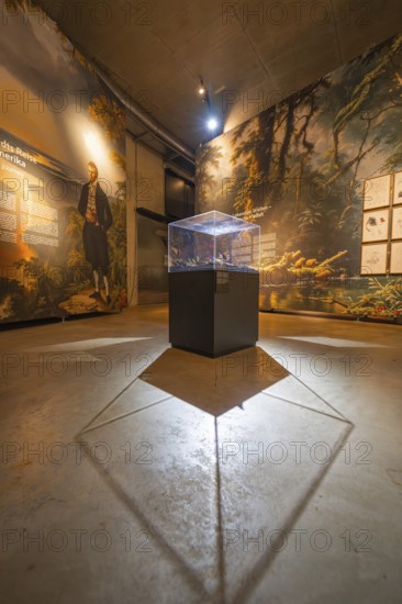 Illuminated exhibition room with historical and modern elements, Amazonia exhibition, Gasometer, Pforzheim, Germany