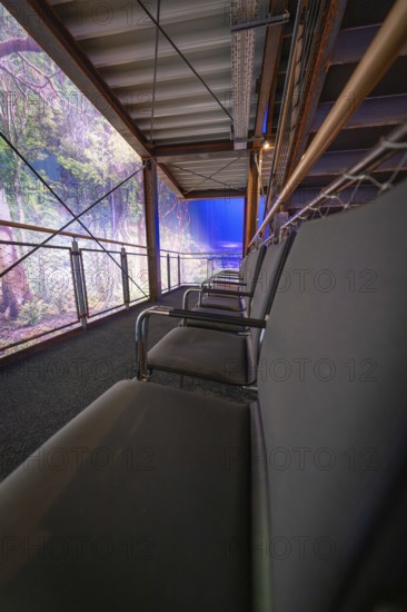 Seating in an industrial environment with natural projections, Amazonia exhibition, Gasometer, Pforzheim, Germany