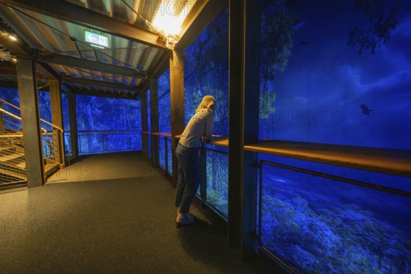 Woman leaning on a balcony looking at a blue-lit forest projection, Amazonia exhibition, Gasometer, Pforzheim, Germany