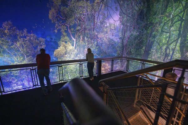 People look at an impressive forest landscape from an illuminated balcony, Amazonia exhibition, Gasometer, Pforzheim, Germany