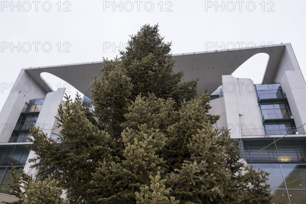 Handing over the Christmas tree to the Federal Chancellery, Berlin, 28.11.2025