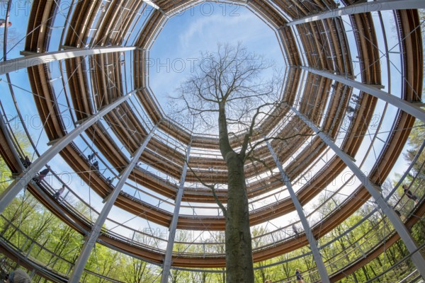 Steigerwald Baupfad Ebrach Germany