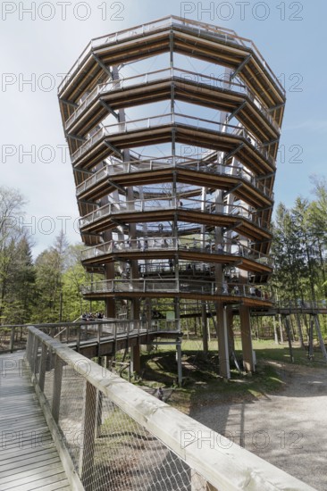 Steigerwald Baupfad Ebrach Germany