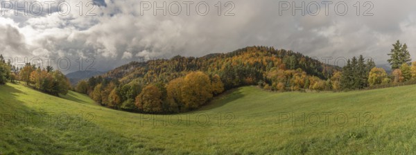 Vast green field features trees with gold and red leaves. The grey sky brings drama to this tranquil autumn mountain scene, with rolling hills in the background. Bas Rhin, Alsace, France