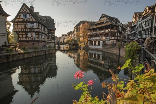 The colorful half-timberne houses of Little France are reflected in the calm waters of the river in Strasbourg. The sun is shining and provides a warm light in this charming historic location. Strasbourg, Bas Rhin, Alsace, France