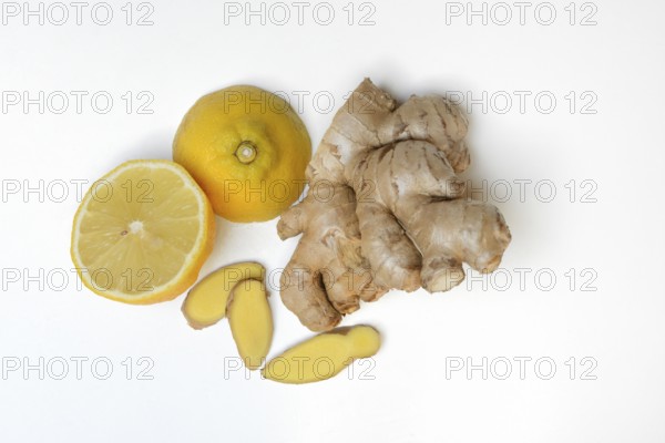 Ginger and sliced lemon, Zingiber officinale