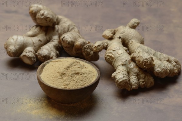 Ginger, ginger rolls and ginger powder, Zingiber officinale