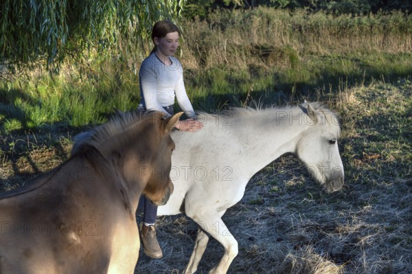 Young girl with her horses in the pasture, Othenstorf, Mecklenburg-Western Pomerania, Germany