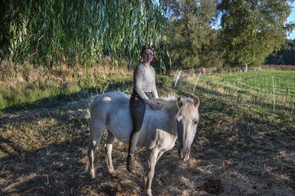 Young girl sitting on her white mare under a willow (Salix), Othenstorf, Mecklenburg-Western Pomerania, Germany