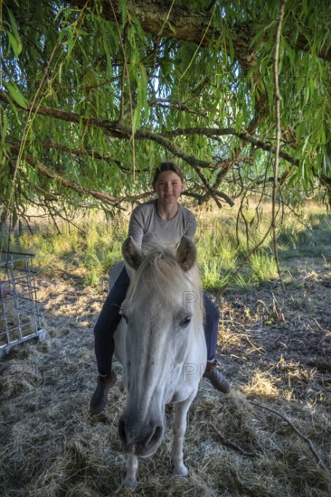 Young girl sitting on her horse under a tree, Othenstorf, Mecklenburg-Western Pomerania, Germany