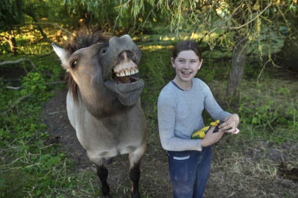 Laughing young girl next to her whining horse, Othenstorf. Mecklenburg-Vorpommern, Germany
