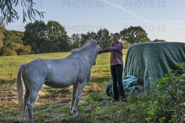Young girl with her white horse in the pasture, Othenstorf, Mecklenburg-Vorpommern, Germany